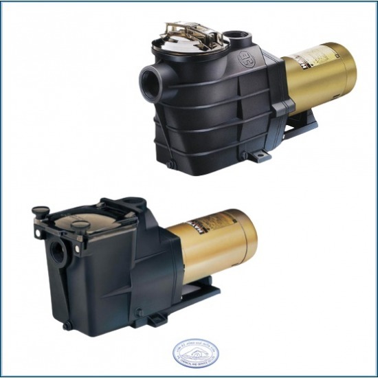 อุปกรณ์สระว่ายน้ำ ราคาถูก - บริษัท พี.อี. เคมีคอล แอนด์ เซอร์วิส จำกัด - ขายอุปกรณ์สระว่ายน้ำ  จำหน่ายอุปกณ์สระว่ายน้ำ  อุปกรณ์สระว่ายน้ำ ราคาถูก  ร้านขายอุปกรณ์สระว่ายน้ำ ใกล้ฉัน  ร้านขายอุปกรณ์สระว่ายน้ำ ตลิ่งชัน  เครื่องกรองสระว่ายน้ำระบบเกลือ  อุปกรณ์สระว่ายน้ำระบบเกลือ  ร้านขายอุปกรณ์สระน้ำ  ติดตั้งอุปกรณ์สระน้ำ  อุปกรณ์สระน้ำครบวงจร 